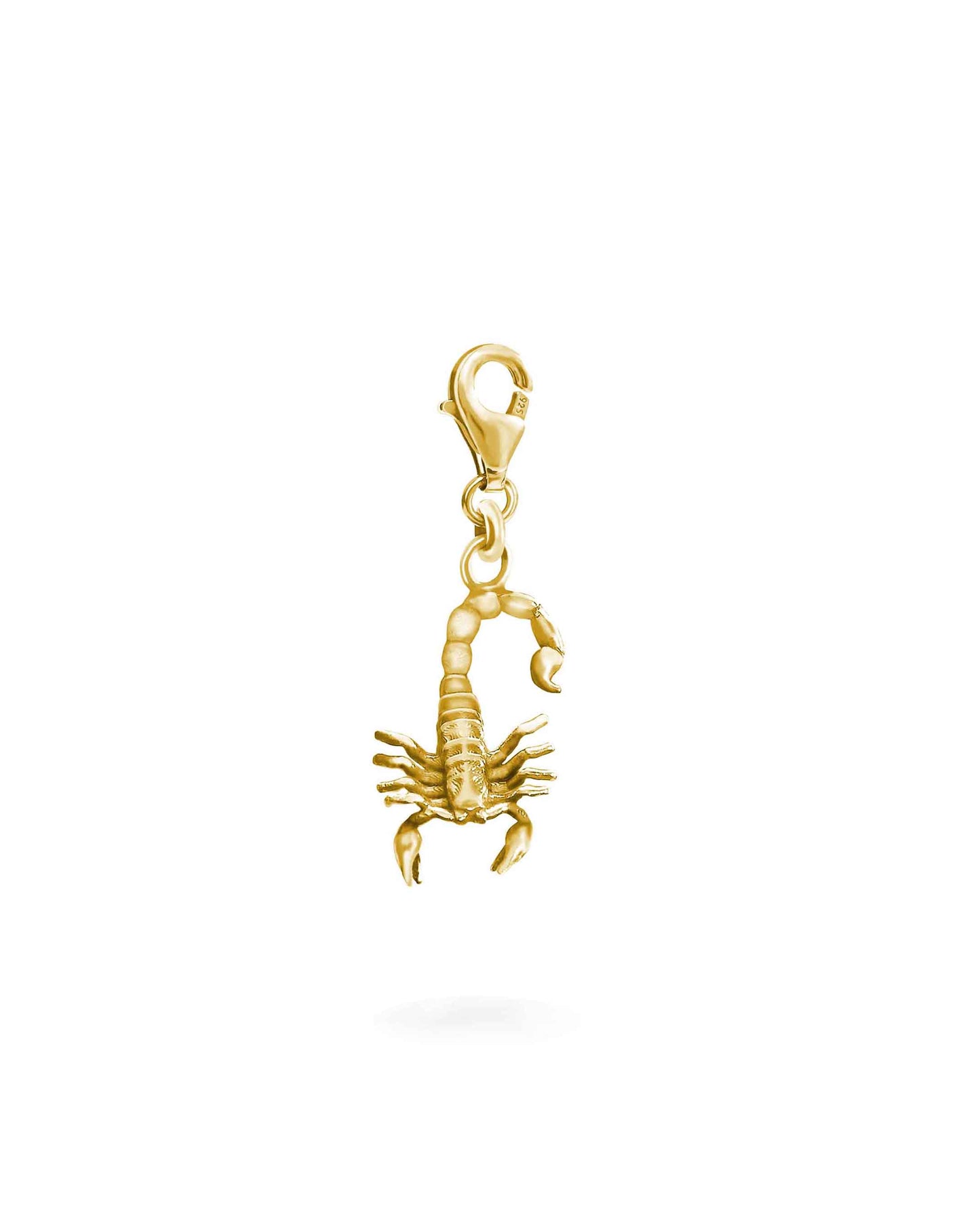 Scorpion Charm